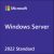 Microsoft Windows Server Standard 2022 ENG (P73-08384)
